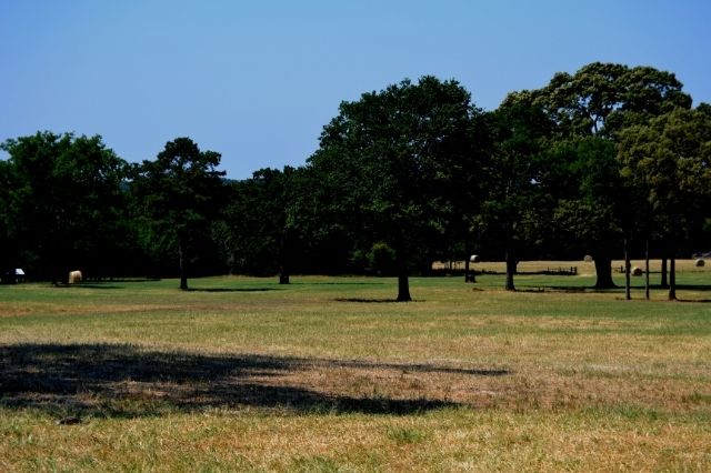 0 FM Road 548, Terrell, TX 75126
